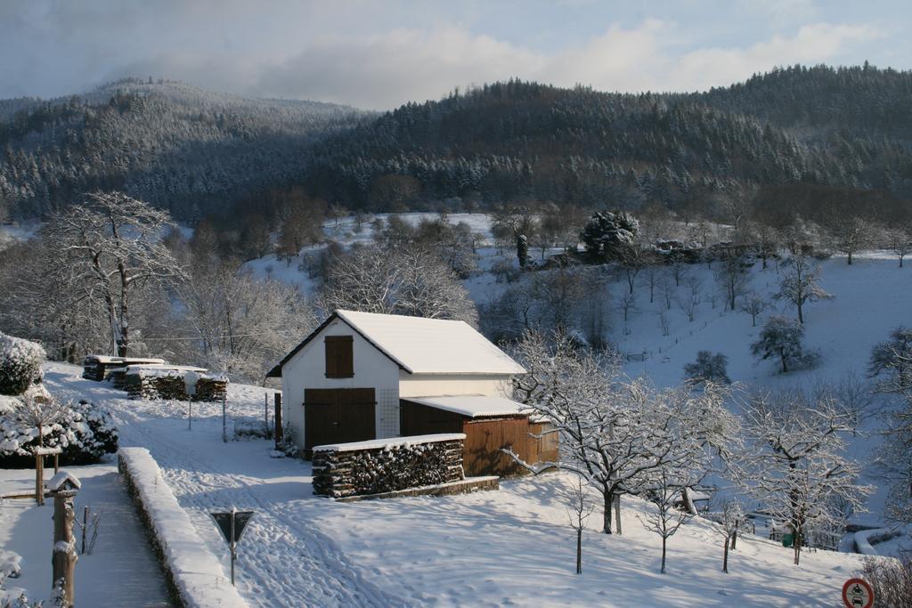 Bella Natura Loffenau ภายนอก รูปภาพ