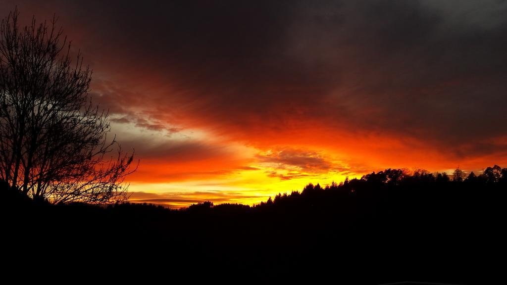 Bella Natura Loffenau ภายนอก รูปภาพ